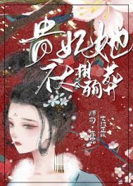 贵妃她不太想殉葬介绍