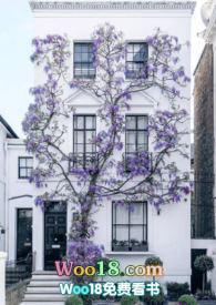 快雪时晴佳想安善惠风和畅游目骋怀意思