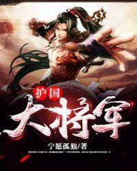 护国大将军电视剧免费观看